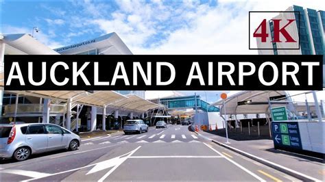 north american travelers arriving at auckland airport summer season 2026