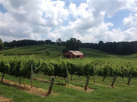 North Georgia vineyards with rolling hills