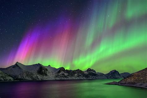 northern lights over icelandic coastline with volcanic landscape