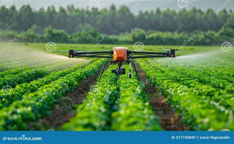pelican spray drone in field applying herbicide over corn crop canopy