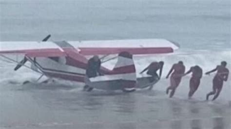 pilot loading rescued dog into small plane