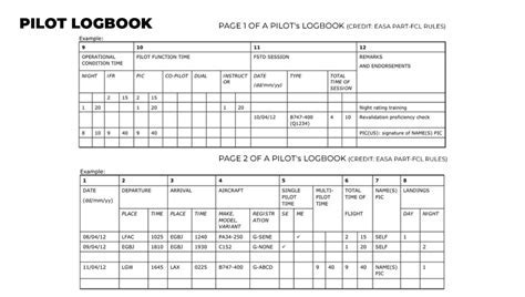 pilot reviewing logbook entries for FAA compliance in preparation for flight review