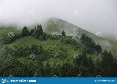 pilot scanning deteriorating weather with fog creeping over hills and treetops
