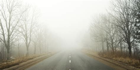 precipitation fog forming during steady rainfall over urban area
