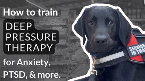 psychiatric service dog providing deep pressure therapy