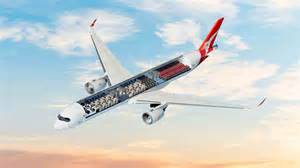 Qantas Airbus A350-1000ULR Project Sunrise aircraft for ultra-long-haul Sydney London and New York flights
