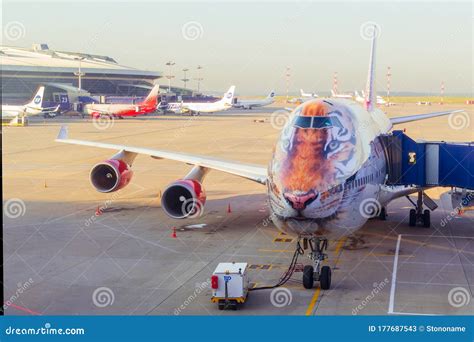 Rossiya Airlines Boeing 747-400 ‘Tigrolet’ with Amur tiger livery on the tarmac