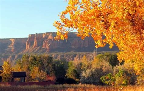 Scenic view of Frankfort’s historic downtown framed by autumn foliage
