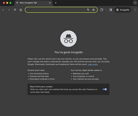 search window in incognito mode showing airline booking site