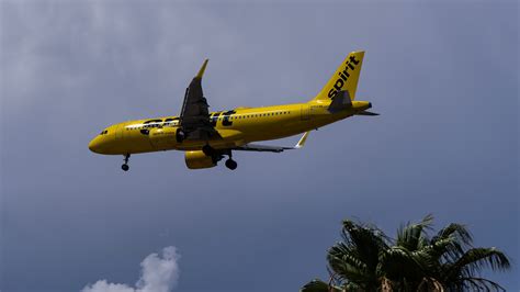 spirit airlines a320neo diverted to dominican republic after gang attack in haiti