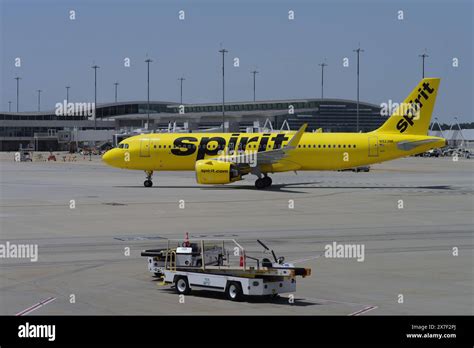 spirit airlines a320neo taxiing at fll with sunrise backdrop