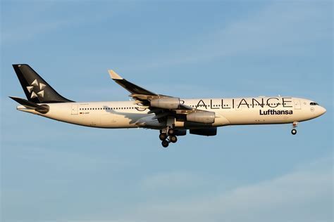 star alliance branded aircraft in sky livery with gold and silver status logos