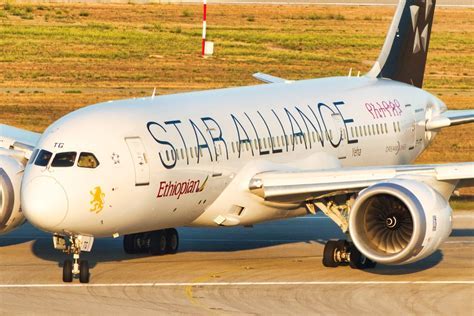 star alliance full livery aircraft taking off at sunrise
