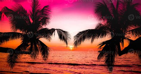 sunset on fort myers beach with palm trees and american airlines plane landing