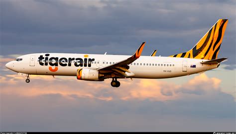 Tigerair Australia aircraft tail fin with distinctive tiger stripes