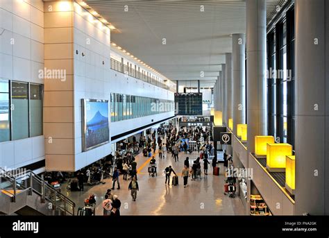 Tokyo Narita International Airport terminal view with multiple widebody aircraft parked