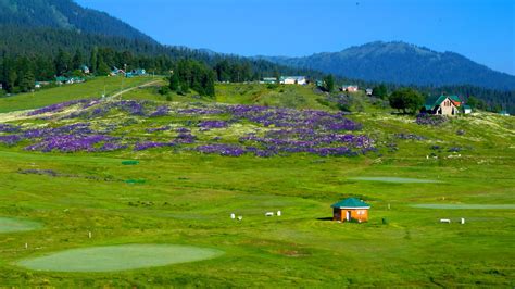 tourist interaction with local shopkeeper in gulmarg