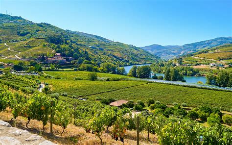 traditional vineyards and river scenery in Minho, Portugal