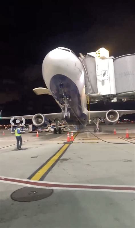 United Airlines and JetBlue aircraft parked at JFK gates