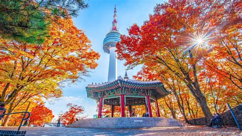 Vietnam Airlines officials and South Korean tourism delegates celebrate new route launch