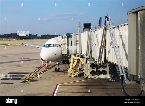 View of SRQ tarmac and passenger boarding jet bridge in early morning light