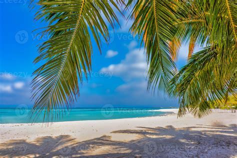 white sand beach in fiji with crystal clear water and palm trees under blue sky