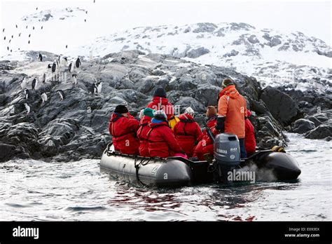 Zodiac boat approaching penguin colony on the Antarctic Peninsula
